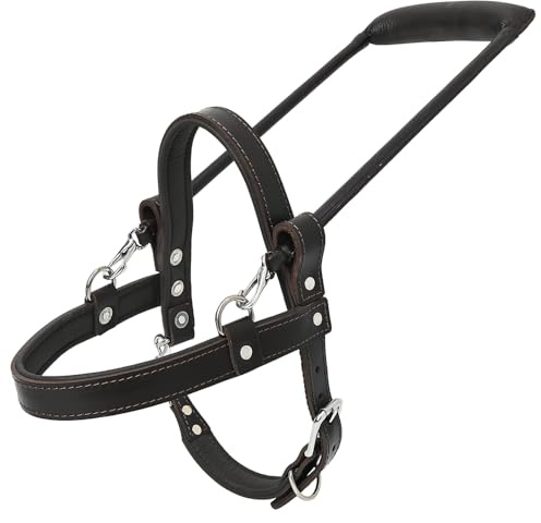 hilason Echtleder Hilfe Guide Hundegeschirr XS Small Medium Large X-Large mit Griff, Brown-Padded
