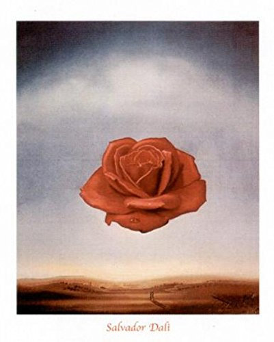 1art1 Salvador Dali Poster Rose Meditative Kunstdruck Bild 50x40 cm