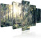 B&D XXL Acrylglasbild Natur 100x50 cm 5 Teilig Wandbild auf Acryl Glas Bilder Kunstdruck Moderne Wanddekoration - Landschaft Natur Wald c-C-0033-k-p