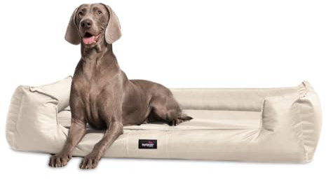 tierlando® Orthopädisches Hundebett Goofy für große Hunde XL bis XXXL mit waschbarerem Polyester-Bezug, ideal bei Gelenkproblemen Größe: 90x75cm | Farbe: 05 Creme