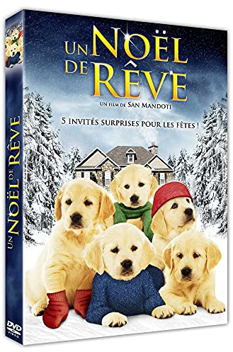 Un noël de rêve [FR Import]