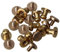 Lot de 10 rivets pour le cuir - À - BQLZR, Doré