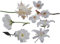 alles-meine.de GmbH XXL Wandtattoo/Sticker - Kirschblüten weiße Blüten mit Stengel - Blüte Blumen Lilie - selbstklebend für Wohnzimmer und Deko Wandsticker Aufkleber