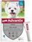 Advantix Petit Chien entre 4 et 10 kg – Pipettes pour chien contre 6 parasites – Traitement et protection pour votre chien pendant 4 semaines – 6 x 1,0 ml