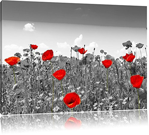 Pixxprint schöner rot leuchtender Mohn B&W, Größe: 100x70cm, Leinwandbild, fertig gespannt, Wandbild, Dekoration, Kunstdruck, kein Poster
