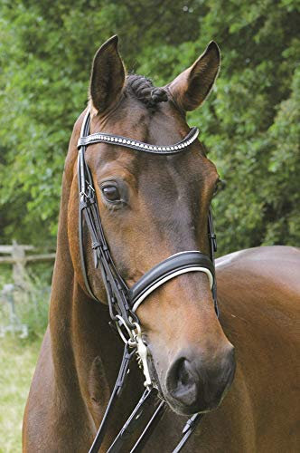 Hans Melzer Horse Equipment Kandare Hamburg, schwarz/silber, Extra Warmblut