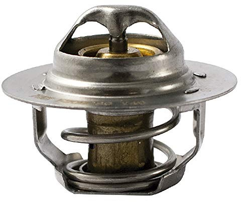 FAE 5205089 Termostato, Refrigerante