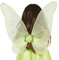 Ailes de fée papillon verte 46 cm - GUIRCA