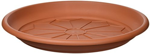 Veca Naxos Plat 30 cm (Terracotta 40 e.12 Mac)