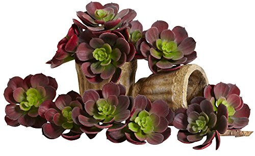 Casi Natural 6106-bg-s12 Echeveria Succulent Plant, 12,7 cm, borgoña, juego de 12