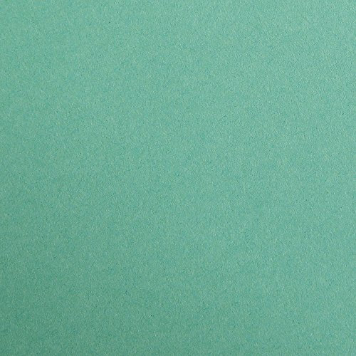 Clairefontaine 97151C Tonzeichenpapier Pack, 25 Bögen Premium, 50 x 70 cm, 120 g, tannengrün