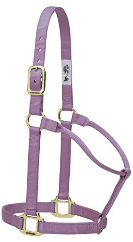 Weaver Leder Original Festeingesteller weanling/Pony Halfter, lavendel, Yearling Horse
