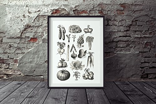 Nastami Poster Gemüse DIN A4, Poster Küche, Wandbild Gemüse, Poster Vintage, Küchenposter