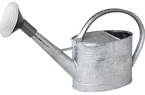 GUILLOUARD Arrosoir Galvanisé 6L avec Pomme, Acier