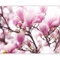 Fototapete - Tapete rosa Magnolie 300x231cm - Foto Tapete Schlafzimmer Wohnzimmer Moderne Vliestapete XXL Wandtapete Motivtapeten Bildtapete 3d Effekt Wand Dekoration - Blumen Baum Natur Pflanzenmotiv