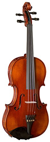Hidersine Piacenza Violin Outfit with Wittner Fine Tune Pegs