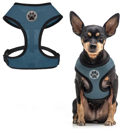 BINGPET Hundegeschirr für kleine Hunde, atmungsaktives Netzgewebe, für Welpen, Katzen, kein Ziehen, verstellbar, Hundeweste, Geschirr für kleine und mittelgroße Hunde