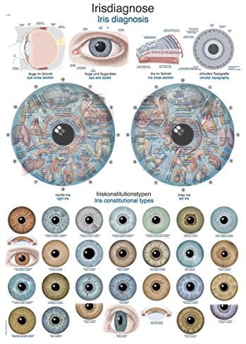 LehrtafelIrisdiagnose, 50x70cm