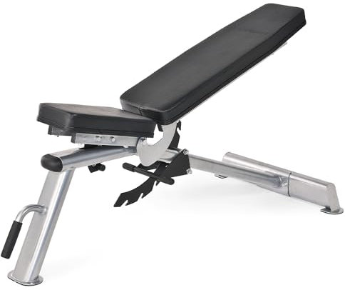 Horizon Fitness Adonis Multifunktionsbank
