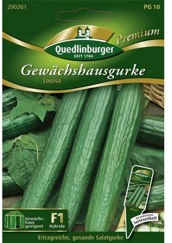 Gewächshausgurke, Louisa F1
