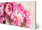 banjado® Magnettafel silber 78 x 37cm / Magnetwand aus Metall/Magnetpinnwand Memoboard/Pinnwand Magnettafel Küche, Büro, Kinderzimmer inkl. 4 Magnete & Montageset Motiv Pfingstrose