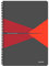 Leitz 44950025 Office Collegeblock A4 kariert, spiralgebunden mit PP Einband Rot