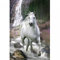GB eye Pferde Poster Schimmel, Paper, Multicolor, 91.5 x 61cm, 2