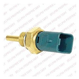 Delphi TS10252 Switch