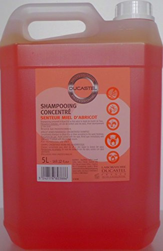 Laboratoire Ducastel shampoing concentré parfum abricot 5000 ml
