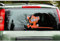 Quattroerre 1249 Funny Scheibenwischer Aufkleber Auto Heckscheibe, Affe