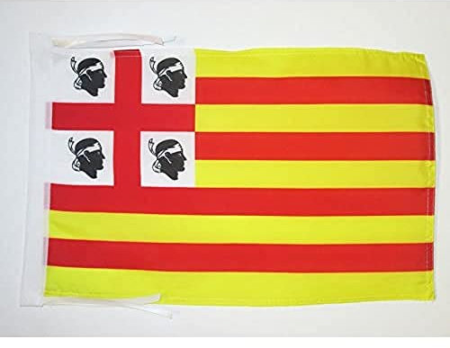 AZ FLAG - Flagge Sardinien Aragonien - 45x30 cm Mit Kordel - Sardinien Fahne 30 x 45 cm - Flaggen