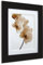 Umbra 316126-040 Pictura Bilderrahmen aus lackiertem Holz für 1 41 x 51 cm, 1 67 x 77 cm Fotos schwarz