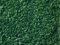 NOCH® Laub, mittelgrün, 50 g für Modellbau und Dioramen, ideal für Bäume und Büsche in der Spurweiten H0, TT, N, Z