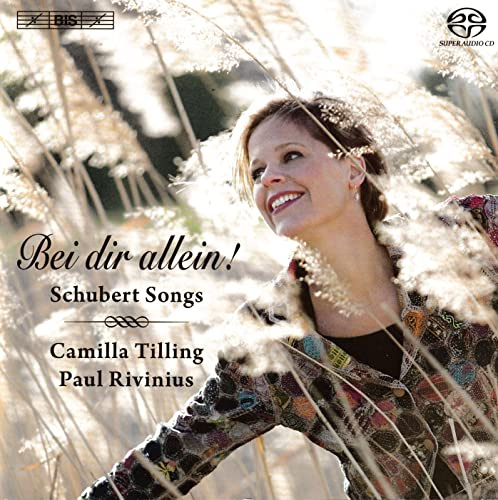 Bei Dir Allein: Schubert Songs