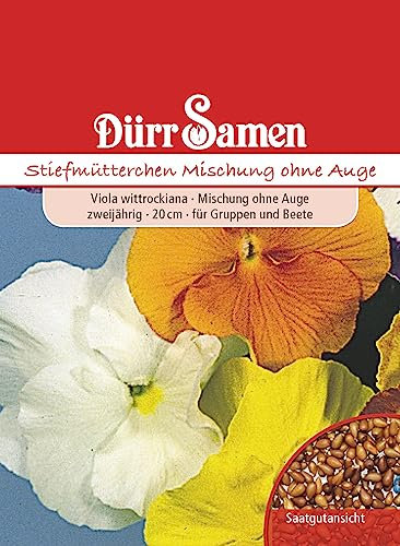 Stiefmütterchen Samen Mix Mischung Stiefmütterchensamen Veilchen ca 200 Korn Saatgut Blumensamen Garten Hochbeet Balkonkasten Kübel Dürr Samen