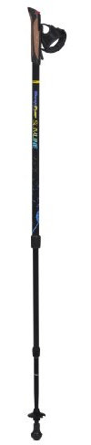 BungyPump Slimline – Nordic Walking Trainingsstöcke mit 4 kg Widerstand & Federung (95–135 cm), für tägliches Training & Reha, inkl. Handschlaufe & Gummifüße