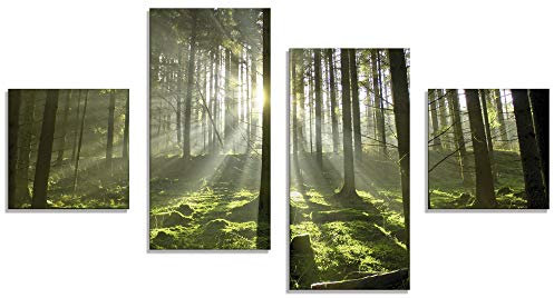 ARTland Wanddeko Glasbilder Wandbild Glas Bild 4 teilig 120x70 cm Querformat Natur Wald Landschaft Sonne Bäume Moos Frühling Landhaus T5SV