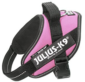 JULIUS K-9 IDC Powergeschirr, Größe: XS / Mini-Mini, Pink, 16IDC-PN-MM
