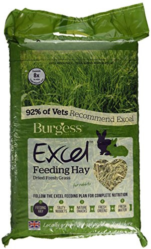 Burgess Excel Feeding Hay Dried Fresh Grass 1kg (Pack of 3)