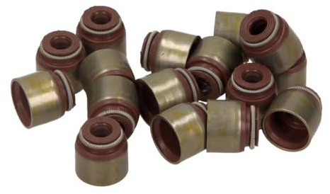 REINZ 12-53036-01 Dichtungssatz, Ventilschaft
