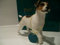 The Leonardo Collection Jack Russel Terrier Ornament Hundefigur Figur Geschenk