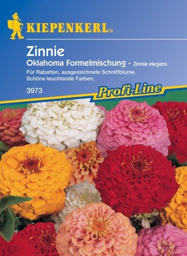 Sperli Blumensamen Zinnien Oklahoma-Formelmix, grün