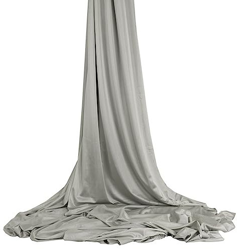 Wellsem 5M Yoga Silk Anti-gravity Yoga Amaca per Pilates Altalena Attrezzatura per danza aerea Aerial Silks YOGA SWING argento tessuto (non gli altri accessori) argento