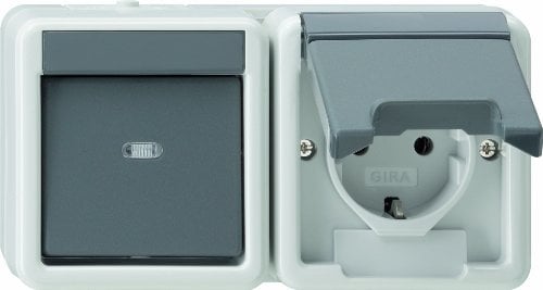Gira 17730 Kombination 017730 Wechsel+SCHUKO waagrecht WG AP gr