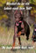 Melis Folienwerkstatt Schild Warnschild Achtung Dobermann Hund Hundeschild 30x20cm Hartschaum Aluverbund -S25C