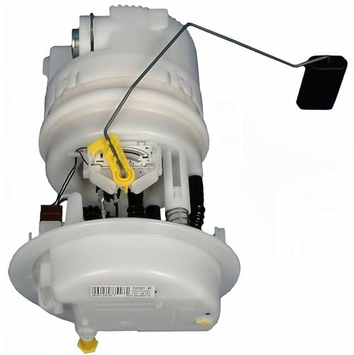 Delphi FE10175-12B1 Fuel Pump