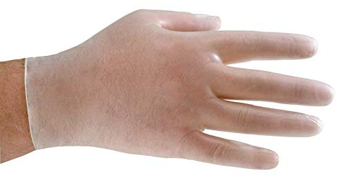 Shield Size L Clear Vinyl Disposable Gloves Pack Of 100 Powdered