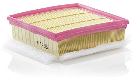 MANN-FILTER C 20 106/1 Filtro dell'aria - per Autovetture + veicoli commeriali