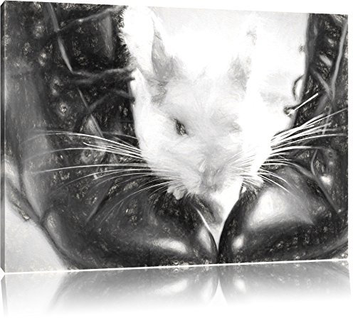 Pixxprint Chinchilla zwischen Schuhen, Größe: 80x60cm, Leinwandbild, fertig gespannt, Wandbild, Dekoration, Kunstdruck, kein Poster