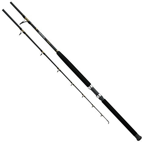 Daiwa Seagate Boat Stand-Up-Rute (1 Stück), 18,1-45,4 kg